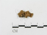 登錄號:F0004304藏品圖，第3張