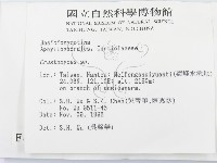 登錄號:F0004305藏品圖，第2張