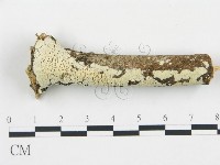 登錄號:F0004305藏品圖，第1張