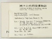 登錄號:F0004308藏品圖，第2張