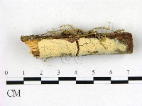 登錄號:F0004309藏品圖，第1張