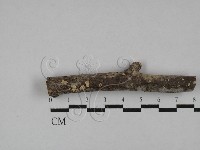 登錄號:F0004310藏品圖，第1張