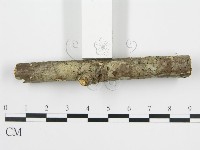 登錄號:F0004310藏品圖，第3張