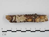 登錄號:F0004311藏品圖，第1張