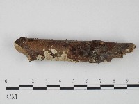 登錄號:F0004311藏品圖，第3張