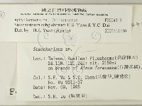 登錄號:F0004312藏品圖，第2張