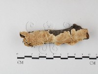 登錄號:F0004312藏品圖，第1張