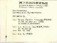 花耳屬藏品圖，第2張