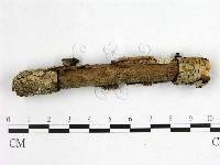 花耳屬藏品圖，第3張