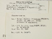 登錄號:F0004314藏品圖，第2張