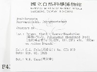 登錄號:F0004315藏品圖，第2張