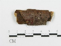 登錄號:F0004315藏品圖，第1張