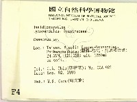 地星屬藏品圖，第2張