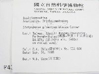 登錄號:F0004317藏品圖，第2張