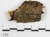 登錄號:F0004317藏品圖，第1張