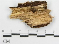 登錄號:F0004317藏品圖，第3張