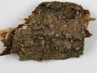 登錄號:F0004317藏品圖，第4張