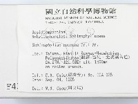 裂褶菌藏品圖，第2張