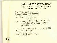 地星屬藏品圖，第2張