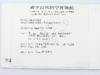 登錄號:F0004322藏品圖，第2張