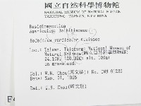 登錄號:F0004323藏品圖，第2張