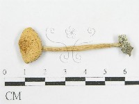 登錄號:F0004323藏品圖，第3張