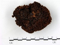 登錄號:F0004326藏品圖，第1張