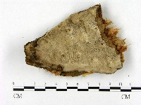 登錄號:F0004327藏品圖，第1張