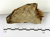 登錄號:F0004327藏品圖，第3張