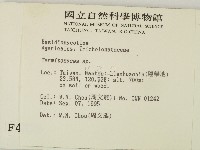登錄號:F0004329藏品圖，第2張