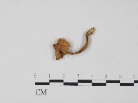 登錄號:F0004329藏品圖，第3張