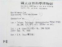 登錄號:F0004334藏品圖，第2張