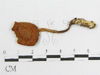 登錄號:F0004334藏品圖，第3張
