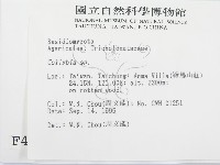 登錄號:F0004337藏品圖，第2張