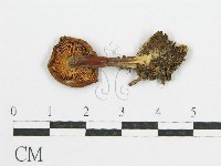 登錄號:F0004337藏品圖，第3張
