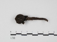 登錄號:F0004338藏品圖，第1張