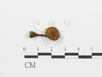 登錄號:F0004341藏品圖，第3張