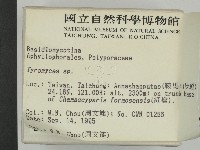 登錄號:F0004342藏品圖，第2張