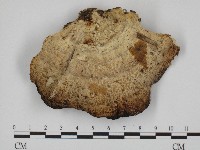 登錄號:F0004342藏品圖，第3張