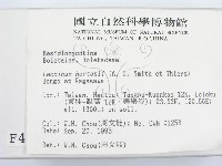 登錄號:F0004344藏品圖，第2張