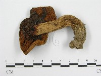 登錄號:F0004344藏品圖，第1張