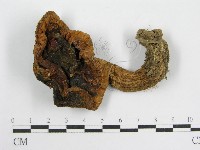 登錄號:F0004344藏品圖，第3張