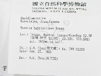 登錄號:F0004345藏品圖，第2張