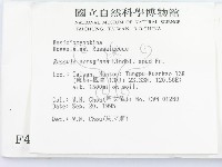 登錄號:F0004346藏品圖，第2張