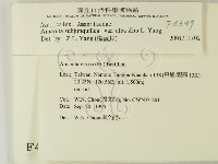 登錄號:F0004347藏品圖，第2張