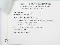 登錄號:F0004347藏品圖，第3張
