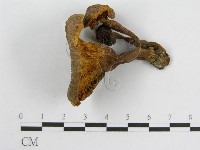登錄號:F0004348藏品圖，第1張