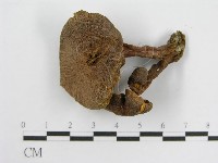登錄號:F0004348藏品圖，第3張