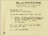 登錄號:F0004350藏品圖，第2張