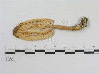 登錄號:F0004354藏品圖，第3張